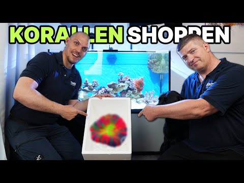 Aquarium tongs
