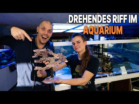 reef360° DIY