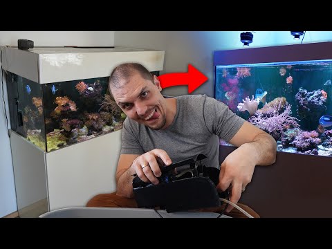 WiFi Dongle