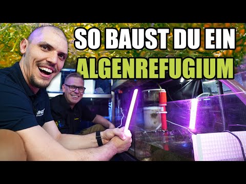 LED refugium